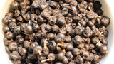 Autumn Olive Berries - Dried, Wild Harvested