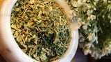 Epazote Herb
