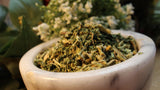Epazote Herb