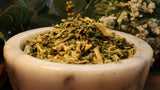 Epazote Herb