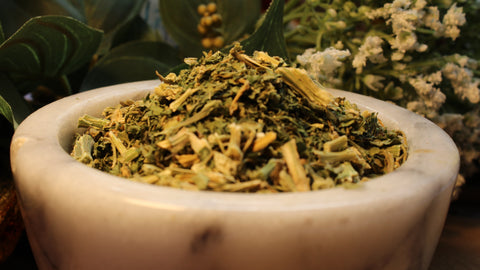 Epazote Herb