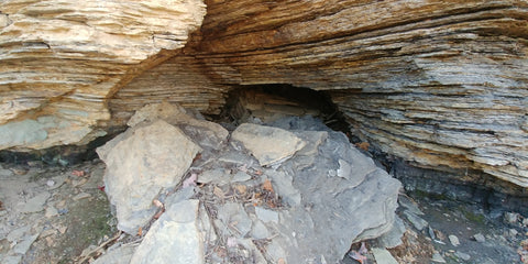 Lignite Coal, Specimans from Deep Forest Abandoned Mine