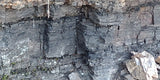 Lignite Coal, Specimans from Deep Forest Abandoned Mine