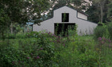 Black Cohosh Powder,  Wild Harvested in the foothills of the Appalachian Mountains