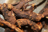Osha Root Powder, Wild Harvested