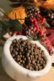 Allspice, Pimenta dioica, Whole Berries