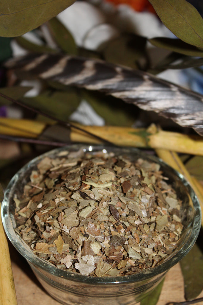 Boldo Leaf