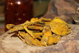 Turmeric - Curcumin longa, Cut and Sifted
