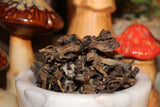 Chanterelle Mushroom (Black Trumpet Strain) - Wild Harvested