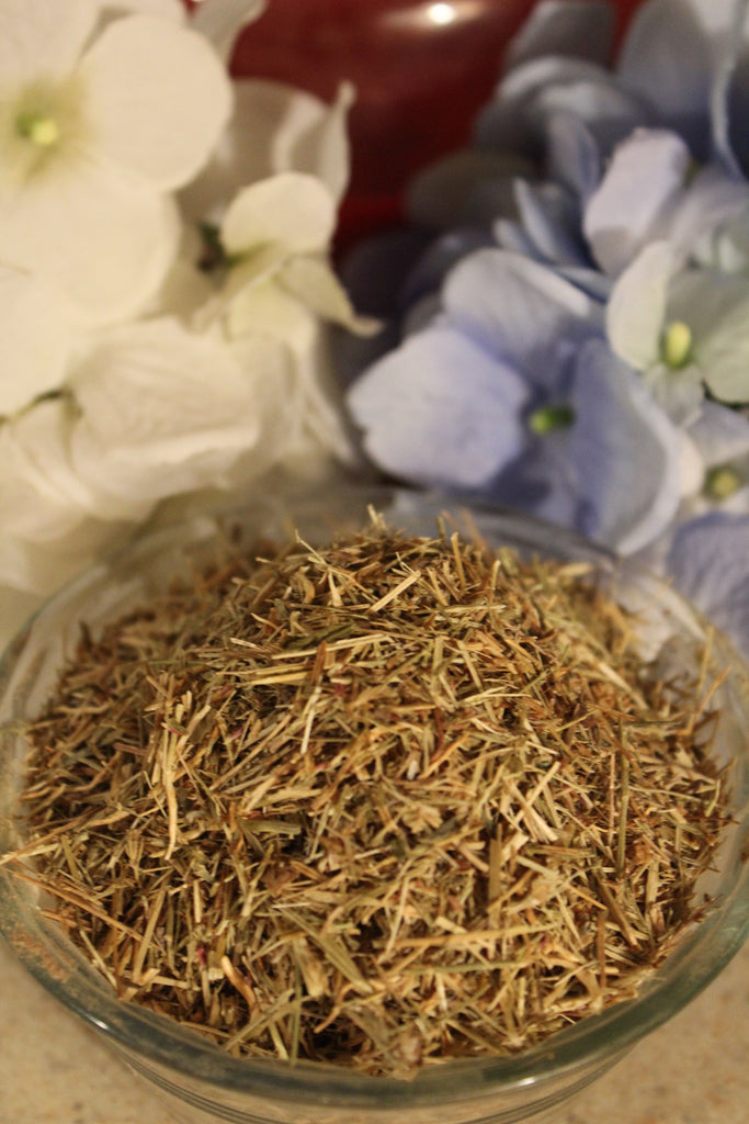 Shepherds purse Herb – Tame the Spirit