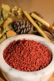 Annatto Seeds