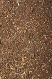 Osha Root Powder, Wild Harvested