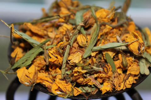 Partridge Pea Flowers- Wild Harvested