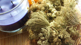 Queen Annes Lace Flower, Dried - Wild Harvested in the Appalachian Mountains