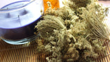 Queen Annes Lace Flower, Dried - Wild Harvested in the Appalachian Mountains