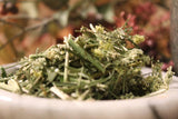 Queen Annes Lace