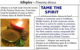 Allspice, Pimenta dioica