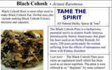 Black Cohosh, Whole Root - Wild Harvested in the foothills of the Appalachian Mountains