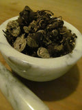 Black Cohosh, Whole Root - Wild Harvested in the foothills of the Appalachian Mountains