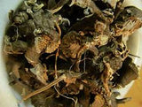 Black Cohosh Root, Cut and Sifted - Wild Harvested in the foothills of the Appalachian Mountains