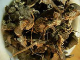 Black Cohosh, Whole Root - Wild Harvested in the foothills of the Appalachian Mountains