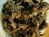 Black Cohosh Seeds - Grow your own Herbs