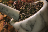 Black Cohosh Root, Cut and Sifted - Wild Harvested in the foothills of the Appalachian Mountains