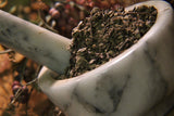 Black Cohosh, Whole Root - Wild Harvested in the foothills of the Appalachian Mountains