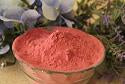 Blueberries - Powdered Fruit