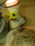 Blue Cohosh Root - Wild Harvested in the foothills of the Appalachian Mountains