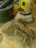 Blue Cohosh Root Powder - Wild Harvested in the foothills of the Appalachian Mountains
