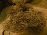 Blue Cohosh Root - Wild Harvested in the foothills of the Appalachian Mountains