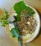 Burdock Leaf - Wild Harvested in the Appalachian Mountains