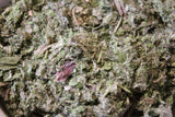 Burdock Leaf - Wild Harvested in the Appalachian Mountains