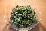 Ground Ivy Herb,  Appalachian Mountains Wild Harvest