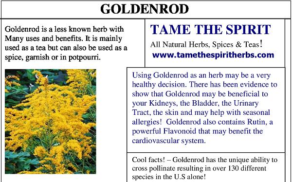 Goldenrod Seeds