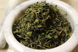 Ground Ivy Herb,  Appalachian Mountains Wild Harvest