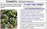Ground Ivy Herb,  Appalachian Mountains Wild Harvest