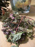 Heal All Tea - Self Heal Herb, Wild Harvest