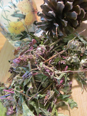 Heal All Tea - Self Heal Herb, Wild Harvest