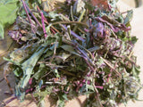 Heal All Tea - Self Heal Herb, Wild Harvest