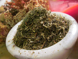 Ladys Mantle Herb,  Alchemilla xanthochlora