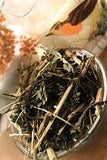 Joe Pye Weed seeds - Grow your own Herbs!!
