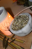 Wood Betony Seeds