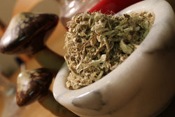 Marshmallow Root - Organic Marshmallow