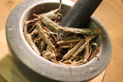 Tulip Poplar Bark - Wild Crafted Herb from the Appalachian Mountains