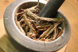 Tulip Poplar Bark - Wild Crafted Herb from the Appalachian Mountains