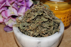 Violet Leaf - Appalachian Mountains Wild Harvest