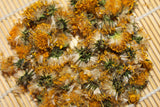 Dandelion Flower - Wild Harvested Spring 2026