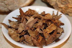 Tree of Heaven Herb - Ailanthus altissima, Chinese Herbs